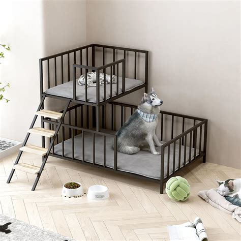 Amazon.com : OSCHF Dog Bunk Bed with Stairs - Elevated Metal Pet Bed ...