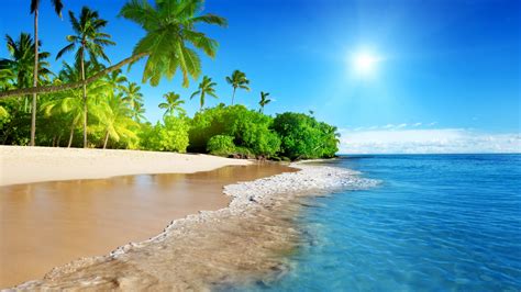 Download wallpaper 1920x1080 tropical beach, sea, calm, sunny day, holiday, full hd, hdtv, fhd ...