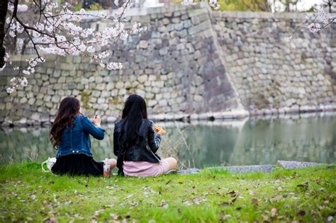 The first Hanami, Japan and Sakura – Varied Reflections