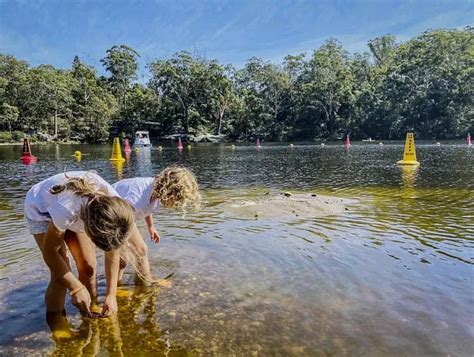 Lake Parramatta Reserve: Great Spot to Swim, Picnic + Play