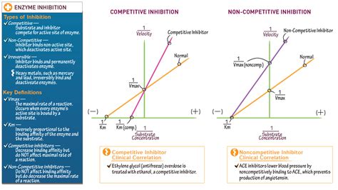 Biochemistry: Enzyme Inhibition | ditki medical & biological sciences