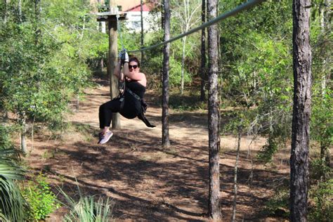 What you need to know before you zipline Orlando | Orlando Tree Trek ...