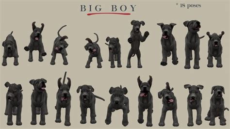 Big Boy dog (P) at Leo Sims » Sims 4 Updates