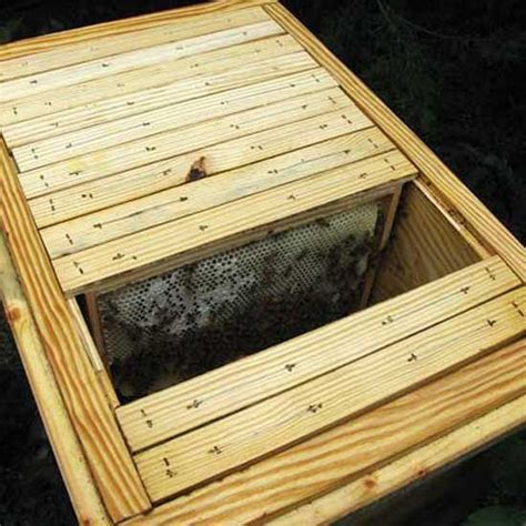 Build your own horizontal Layens hive to save money while creating the best hive possible for ...