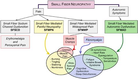 Small Fiber Neuropathy: Disease Classification Beyond Pain and Burning - Todd D Levine, 2018