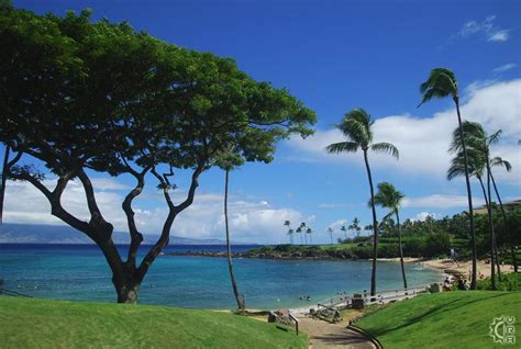 Kapalua Beach in Kapalua, Maui, Hawaii | Hawaiian Beach Rentals