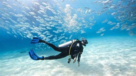 A Guide to Scuba Diving in Tarkarli, Maharashtra