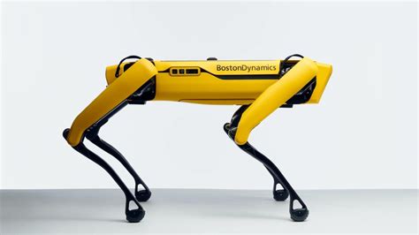 This Intelligent Robot Dog Helps Developers Learn