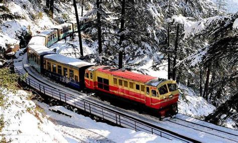 Toy Train to Shimla - Wildlife and Photography Tours by Odin