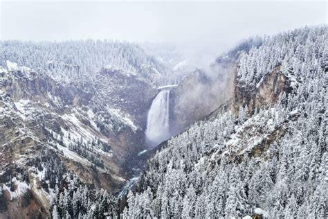 Yellowstone in Winter: Things to Do + Seasonal Tips (2024-2025)