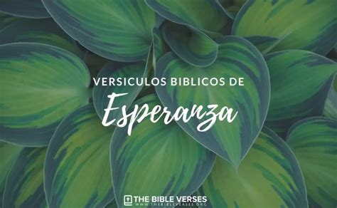 50 Versículos de la Biblia de Esperanza | Textos Bíblicos