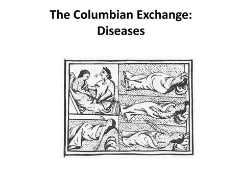 PPT - The Columbian Exchange: Diseases PowerPoint Presentation, free ...