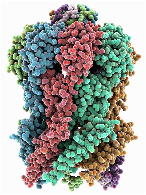 Protein Atomic Structure