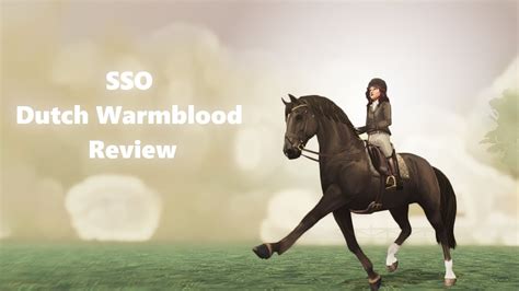 SSO Dutch Warmblood Review! - YouTube