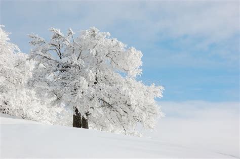 Winter Landscape, Ukraine -3 Stock Image - Image: 14287271