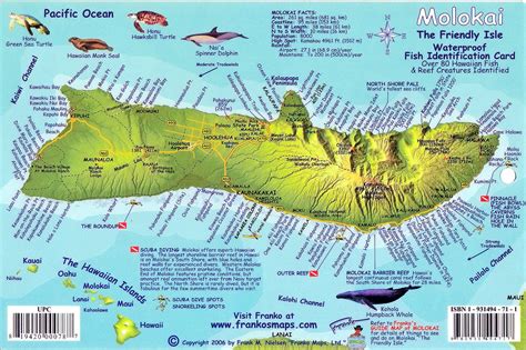 Molokai, Hawaiian Islands, Reef Creatures Map & Fish Card by Frankos M | Maps.com.com