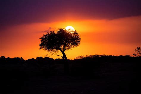 Masai Mara Sunrise Photograph by David Morefield - Fine Art America