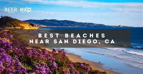 5 Best Beaches in San Diego: Surf, Sand & Fun Near You