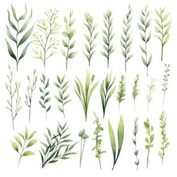 Clipart Grass Simple Clipart Grass Simple Transparent