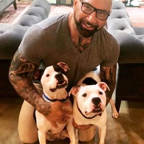 Dave Bautista Adopts Two Abandoned Pit Bulls