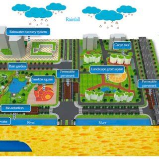 Sketch of sponge city. | Download Scientific Diagram