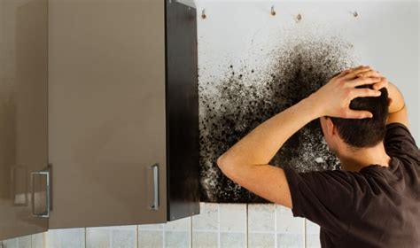 How To Get Rid Of Mould In House? | Bond Cleaning In Newcastle