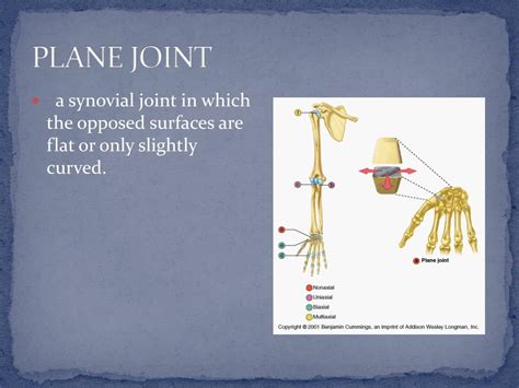 PPT - SYNOVIAL JOINT PowerPoint Presentation, free download - ID:5300719