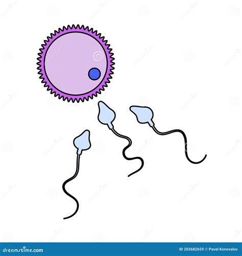 Sperm and Egg Cell Icon stock vector. Illustration of ovule - 203682659