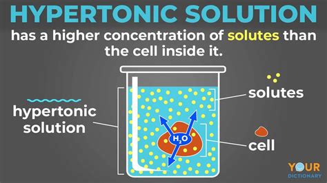 Hypertonic Diagram