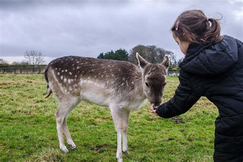 Wildlife attractions in Scotland | VisitScotland