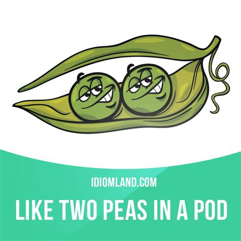 Two Peas in a Pod Meaning