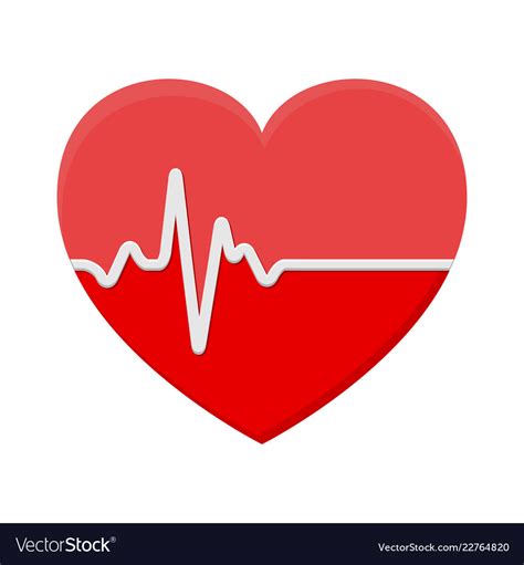 Heart and ecg - ekg signal beat pulse line Vector Image