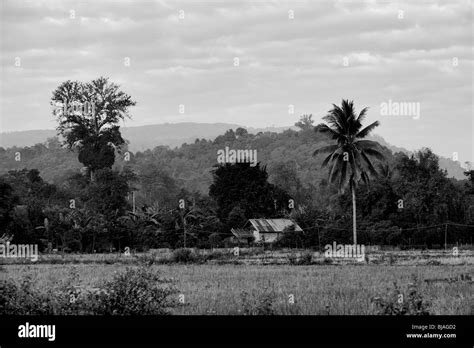 Lao People's Democratic Republic, laos Stock Photo - Alamy