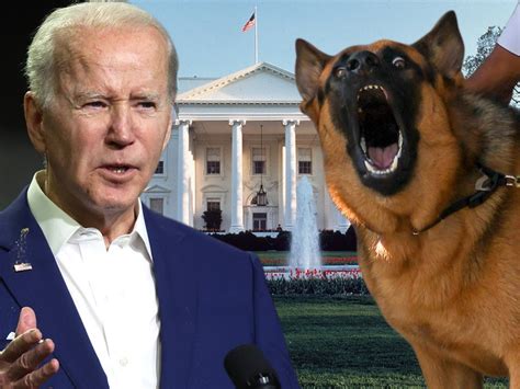 Biden's Press Secretary Says Commander the Dog Bit 7 Due to White House Stress