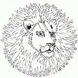 Free Complex Coloring Pages Of Animals Download  sketch template