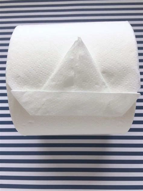 Ahoy! Learn to Fold a Toilet Paper Origami Sailboat – Craftwhack