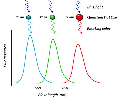 Quantum Dot Display | ELECDOVE