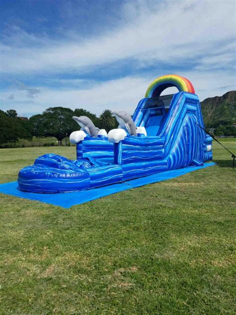 Dolphin Water Slide - A & B Party Rentals Plus Supplies