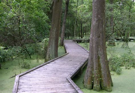 Jesse H. Jones Park & Nature Center | Things To Do in Humble, TX