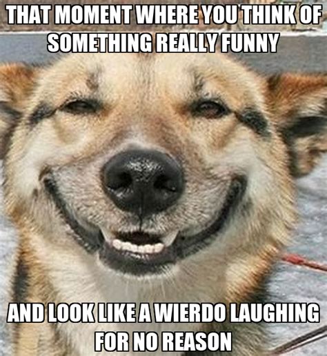 THAT MOMENT WHERE YOU THINK OF SOMETHING REALLY FUNNY AND LOOK LIKE A WIERDO LAUGHING FOR NO ...