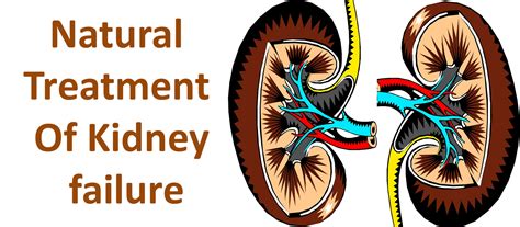 Treatment of Kidney failure - SPARSH ACUPUNCTURE CLINIC