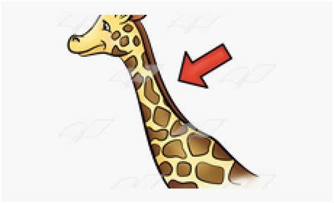 giraffe neck clipart - Clip Art Library