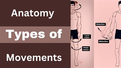 Body Movement Terms Anatomy l Body planes of Motion l Body movement Terminology ll - YouTube