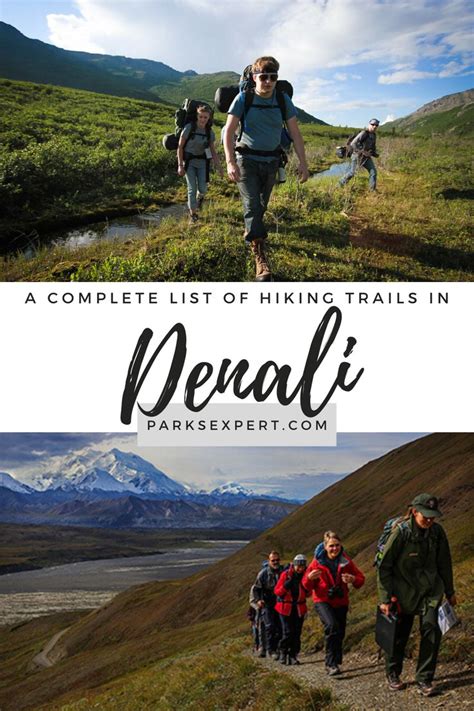 Best Hikes in Denali National Park: All 20 Trails Ranked | Best hikes ...