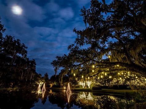 The Most Amazing Christmas Lights Display May Be at This South Carolina ...