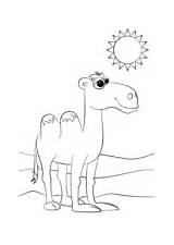 Camel coloring Page  Free Printable Coloring Pages sketch template