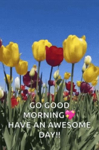 Have Am Awesome Day Good Morning GIF - HaveAmAwesomeDay GoodMorning Tulips - Discover & Share GIFs