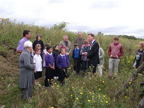 Ashford Oaks Primary School visit - Kent Heritage Trees Project