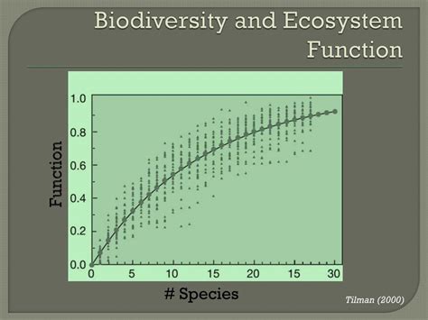 PPT - Biodiversity and Ecosystem Functioning PowerPoint Presentation, free download - ID:2205818