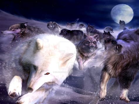 Wolf Pack Running by SilverStorm69 on DeviantArt